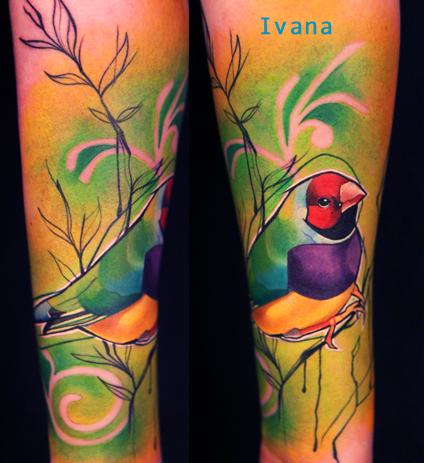 Ivana Tattoo Art - Gouldian Finch Bird sitting on branch 
